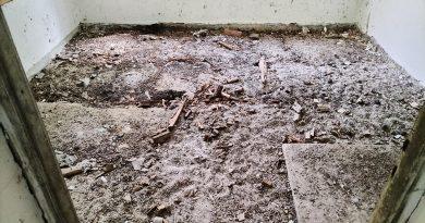 Ce aduce ziua de azi – Saturday, 29.08.2026